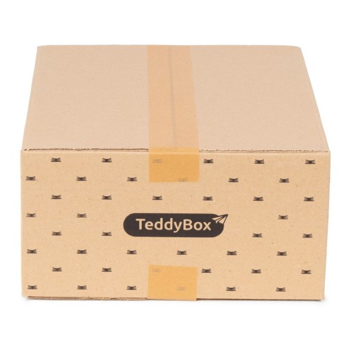 Set de 3 cutii de depozitare bej Compactor Teddy, 35 x 15 cm