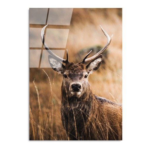 Tablou din sticlă 70x100 cm Deer – Wallity