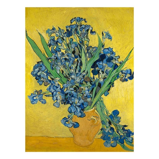 Reproducere pe pânză după Vincent van Gogh - Irises, 60 x 45 cm