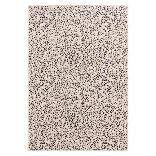 Covor negru-alb 160x230 cm Muse – Asiatic Carpets